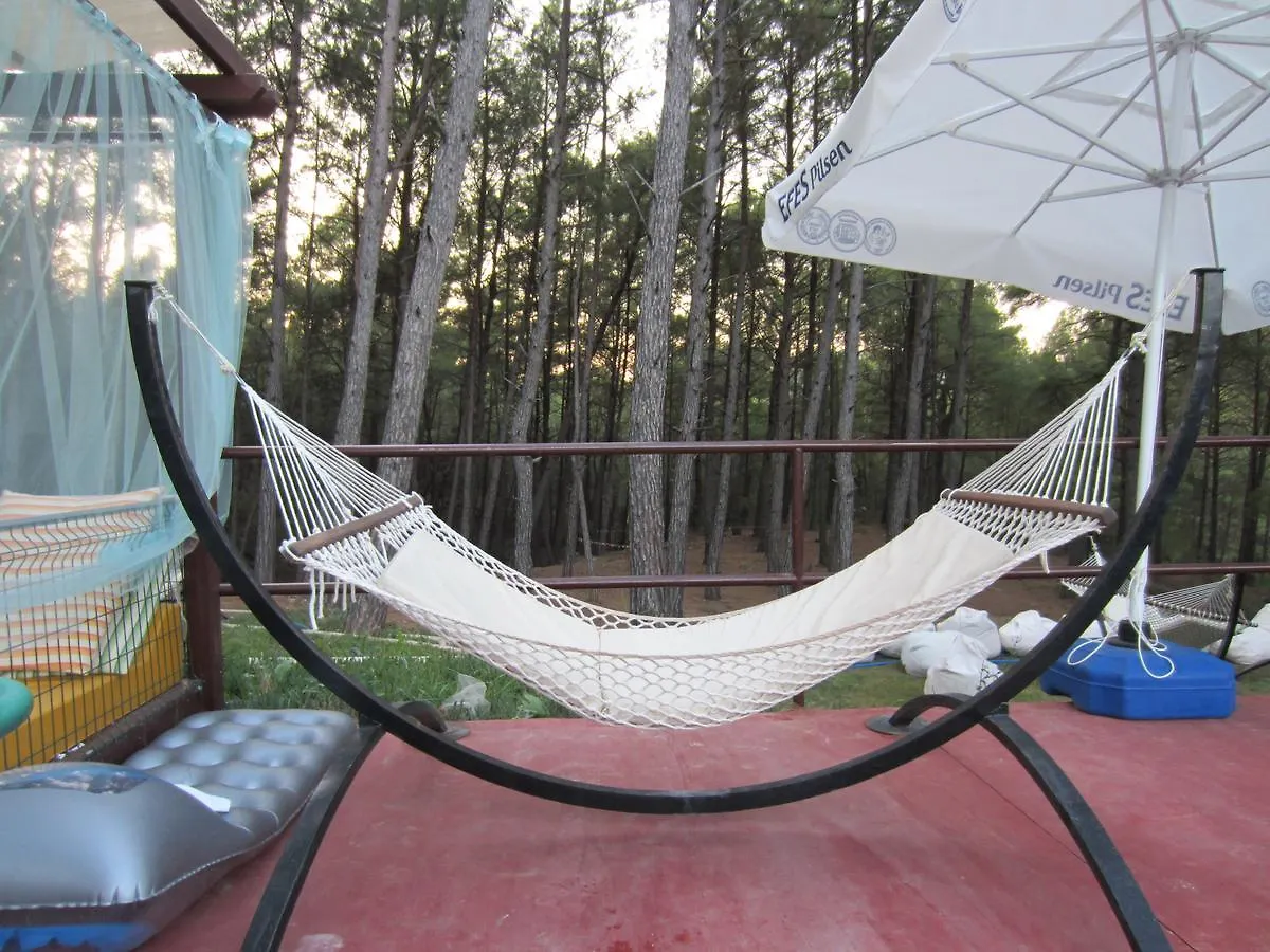 אולודניץ Green Forest Holiday Village מלון